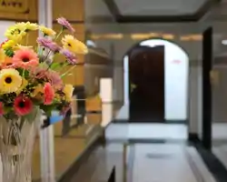 Al Alya Hotel Rooms and Suites thumbnail